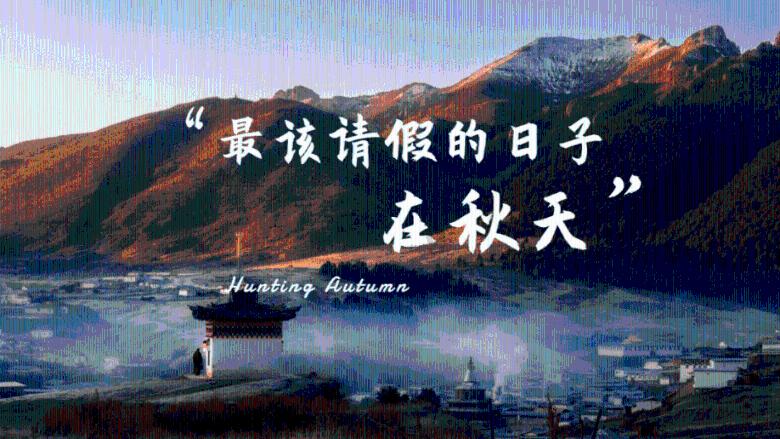 说说你收拾东西时,断舍离到底难在哪里?-全球最具影响力社区平台
