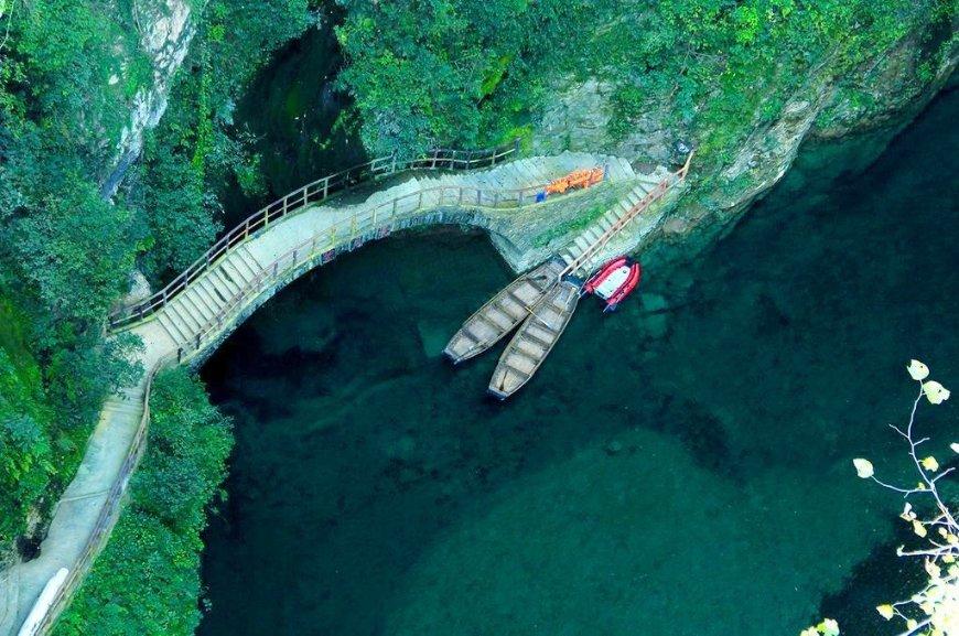 蓝狐视频